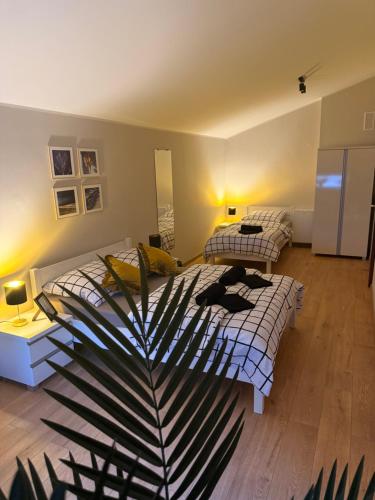 a bedroom with two beds and a plant in the middle at Apartament SLEEP&GO Ostrowiec Świętokrzyski in Ostrowiec Świętokrzyski