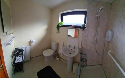 a bathroom with a sink and a toilet and a window at Derry City Centre Kelly's Place et in Derry Londonderry