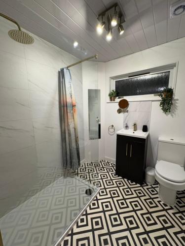a bathroom with a toilet and a shower and a sink at Arcadia - Kirkwall in Orkney