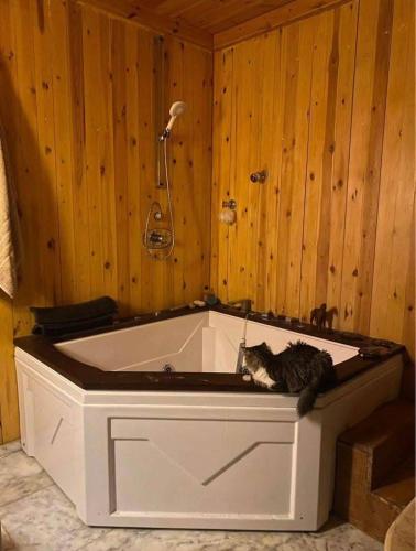 السطر الغربي