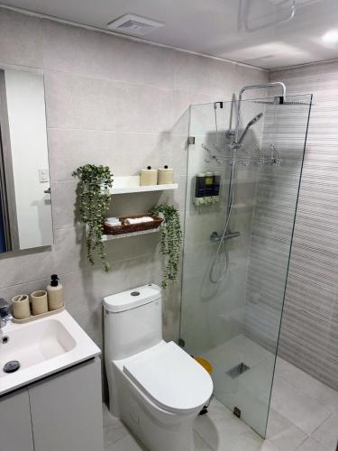 a bathroom with a shower and a toilet and a sink at Victoria's home near the beach with Swimming pool and elevator in Punta Cana