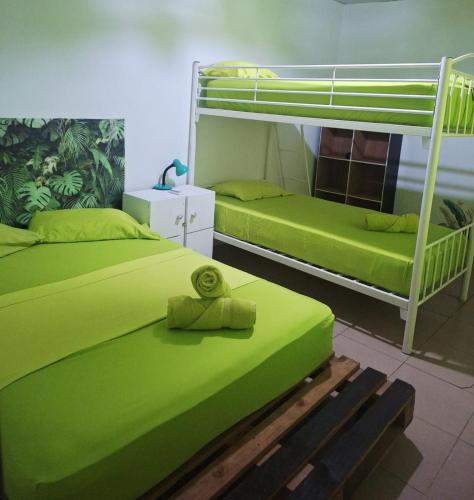 a bedroom with two bunk beds with green sheets at Acuarela Hostal in Playa Blanca