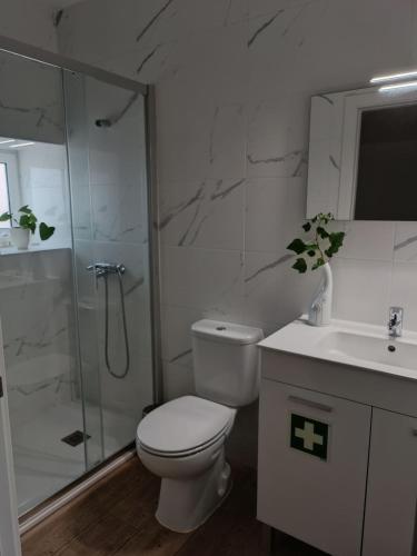 a bathroom with a toilet and a shower and a sink at Casa da Canhota in São Mamede