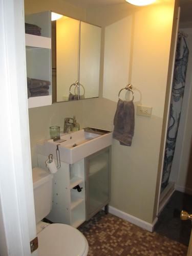a bathroom with a sink and a toilet at Cozy Vintage Chicago Apartment near Downtown in Chicago
