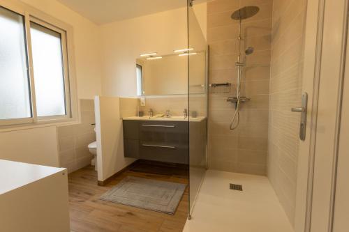 a bathroom with a shower with a sink and a toilet at Une Maison en centre ville in Cholet