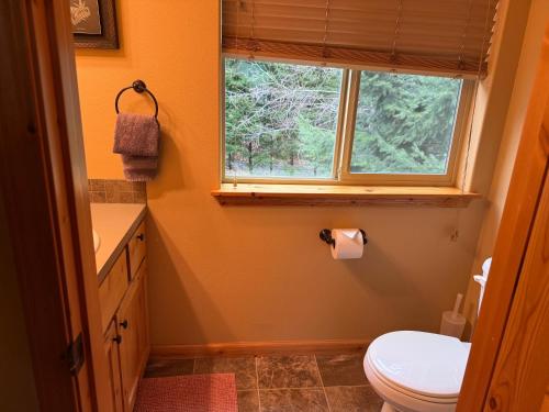 a bathroom with a toilet and a window at Creekside Cabin - Ski Chalet in Packwood