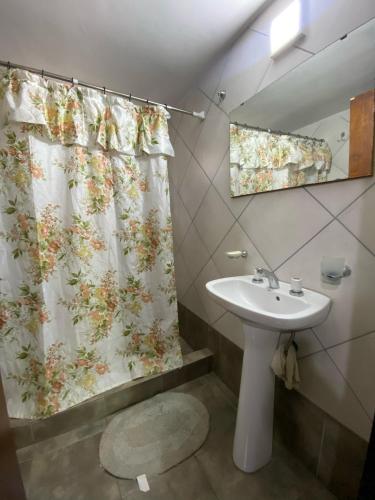 a bathroom with a sink and a shower curtain at cabanas nahuel in Villa General Belgrano