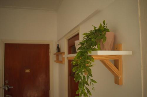 a green plant on a shelf in a room at Destino Güemes Cozy Studio in Mar del Plata