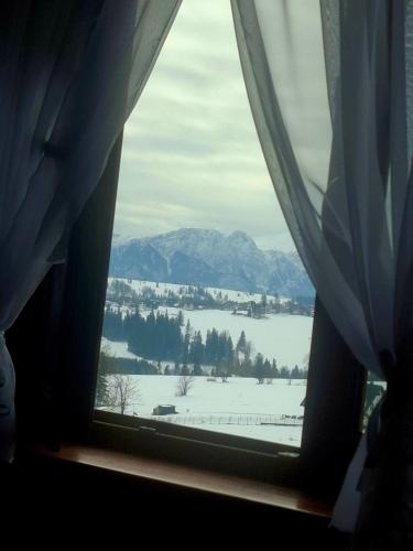Apartament u Ani