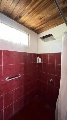 a bathroom with a shower with red tiles at Casa Pochote, Cobano in Cóbano