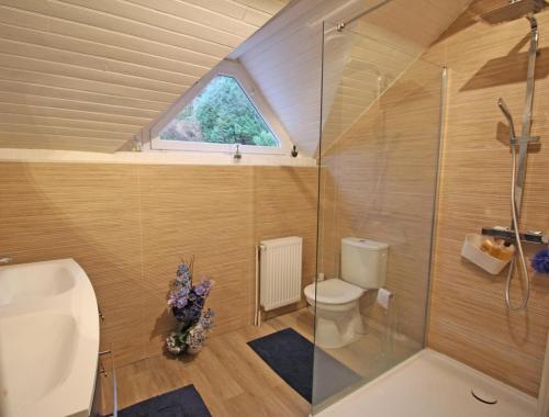 a bathroom with a shower and a toilet and a window at Villa du lac in Bujaleuf