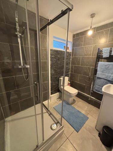 a bathroom with a shower and a toilet at Jolly Jupiter at The Moon in Pontnewynydd