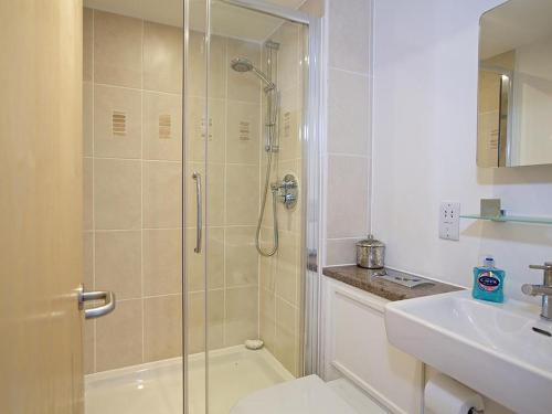 a bathroom with a shower and a toilet and a sink at Estuary View in Kingsbridge