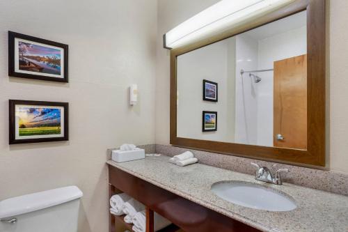 a bathroom with a sink and a mirror and a toilet at Comfort Suites Brenham in Brenham