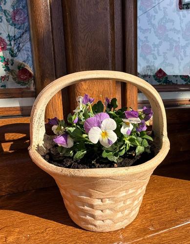 a basket with flowers in it sitting on a table at Agroturystyka u Matysa Wisła apartamenty i pokoje Widoki na góry Basen grill balia szlaki turystyczne spacery Zwierzęta duży plac zabaw in Wisła