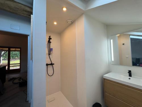 a bathroom with a shower and a sink and a mirror at Logis Fontaines in Champagnat