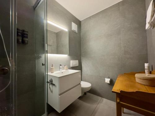 a bathroom with a toilet and a shower and a sink at Studio le Capricorne 22 in Martigny-Ville