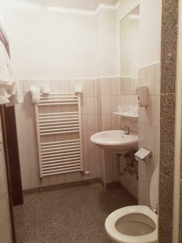 a bathroom with a toilet and a sink at Econnomy Adler in Golling an der Salzach