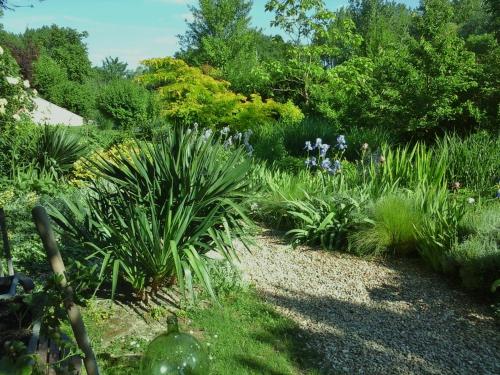 a garden with many different plants and trees at Troglodelice in Azay-le-Rideau