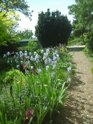 a garden with purple and white flowers on a path at Troglodelice in Azay-le-Rideau