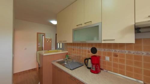 a kitchen with a sink and a counter top at Apartmani Daria in Medulin