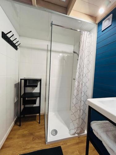 a shower with a glass door in a bathroom at Tiny House im Almtal in Pettenbach