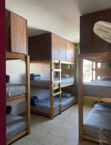 a room with several bunk beds in a room at Hostal el búho Morelia in Morelia