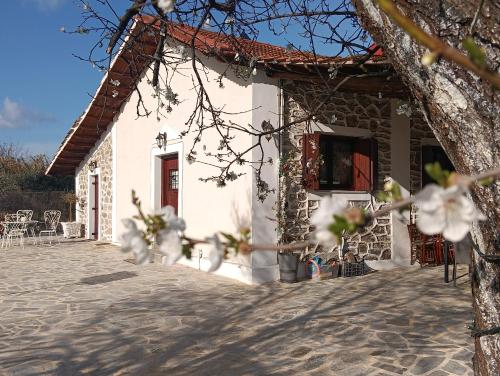 Foto Aggelos Gardenhouse of Volos 6