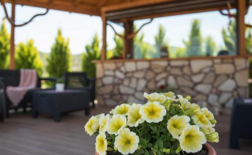 Fotografie z fotogalerie ubytování Anthemida Rooms v destinaci Sikia
