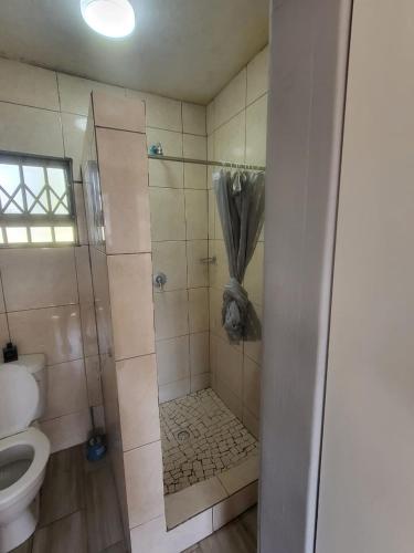 a bathroom with a shower with a toilet at AMASHIYA flats in Richards Bay
