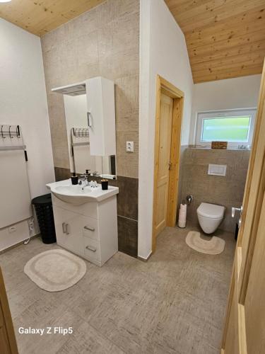a bathroom with a sink and a toilet at Chalupa uprostred niceho in Hlinsko