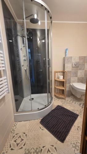 a bathroom with a shower and a toilet at Gîte L'échappée Bleue in Saint-Germain-du-Plain