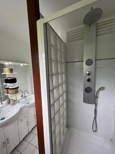 a bathroom with a shower and a sink at Appartement tout confort et idéalement situé in Petit-Bourg