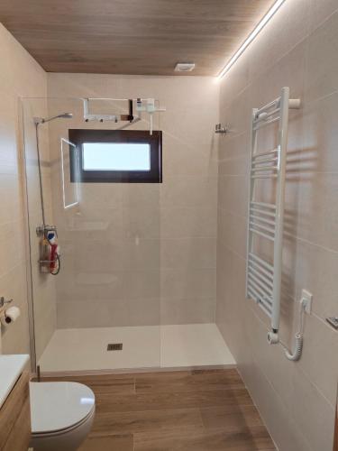 a bathroom with a toilet and a glass shower at Vistas a Cangas in Cangas de Onís