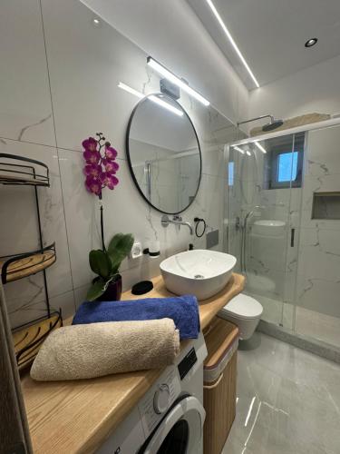 a bathroom with a sink and a toilet and a mirror at Drios Hillhouse II in Drios