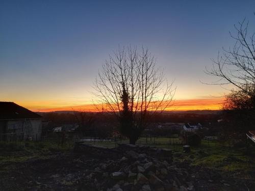 a tree in a field with the sunset in the background at Chambre double chez Emilienne in Téterchen