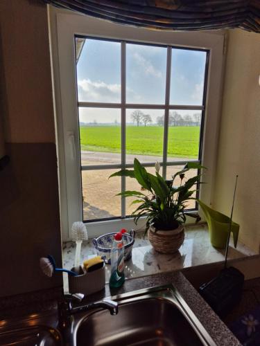 a kitchen sink with a window overlooking a green field at Ferienhof Michaelis in Bruchhausen-Vilsen