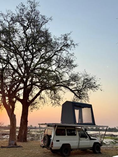 Zambezi Dream Cruiser