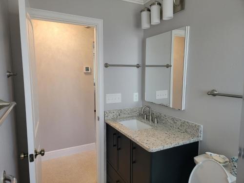 a bathroom with a sink and a mirror at Manatee River Bungalows - 2 in Bradenton