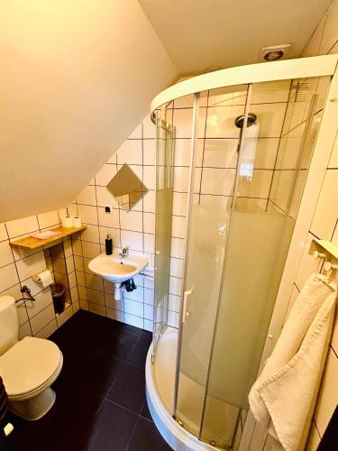 a bathroom with a shower and a toilet and a sink at Pokoje Gościnne Dunajec in Zabrzeź