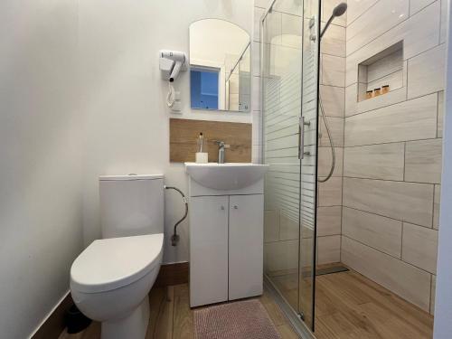 a bathroom with a toilet and a sink and a shower at Jasna Hotelik self check-in in Warsaw