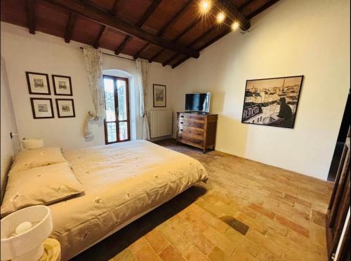 a bedroom with a large bed and a television at La locanda delle pulci in Colombella