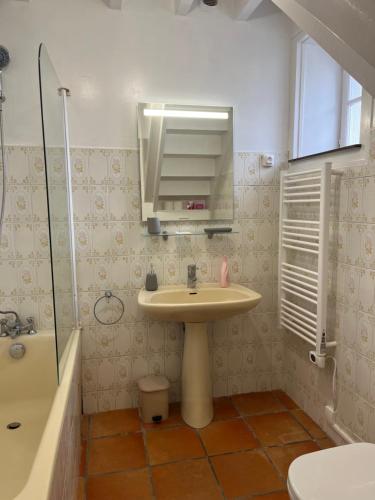 a bathroom with a sink and a shower at Chez PRESSOIRS in Mesnac