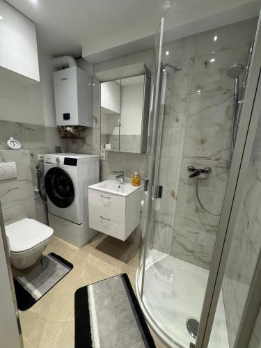 a bathroom with a shower and a toilet and a sink at Apartment 4 rooms 'Bauer' in Korfantów
