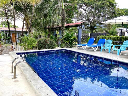 Rooms & Pool Macaws