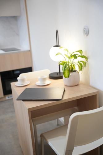 a desk with a plant and a lamp on it at Rezidence Jakubská in Brno