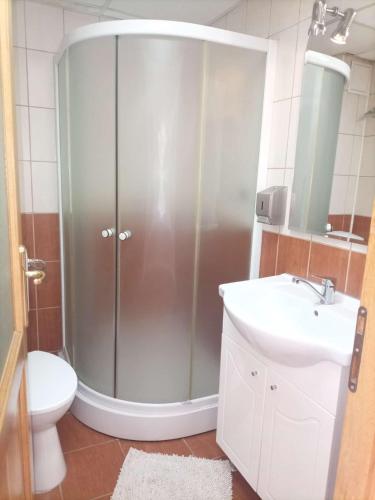 a bathroom with a shower and a toilet and a sink at Pensiunea Brian in Moieciu de Jos
