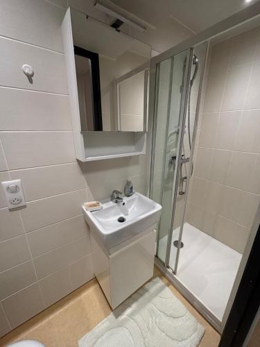 a bathroom with a sink and a shower at Sur Tulle - Le Refuge - 1 Piece in Tulle
