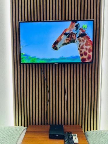 a television with a giraffe on the screen at Zulu Apartments and Studios in Kumanovo