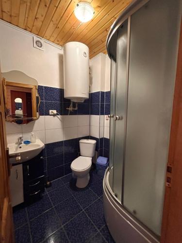 a bathroom with a toilet and a sink at Садиба У Коса in Pilipets